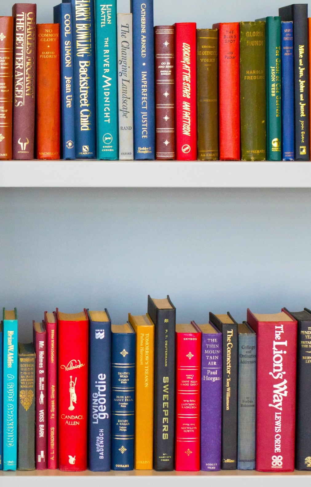Close-up of colorful hardcover books neatly arranged on a white bookshelf