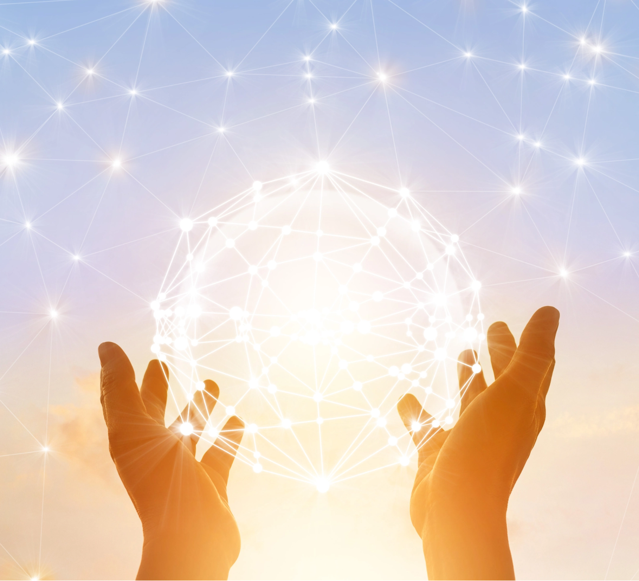 Hands Holding A Network Concept